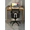 Yağmur Çalışma Masası, Çam