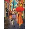 Yağmur Dostluğu 500 Parça Puzzle
