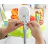 Yağmur Ormanı Jumperoo, 6-12 aylık, CHM91