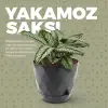 Yakamoz 1 9.2 L Bej Saksı