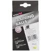Yetişkin Top Training Balls 40+ 6lı Beyaz