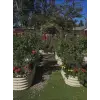 Yükseltilmiş Bahçe Yatağı (Bej (Krem))