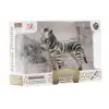 Zebra kutulu model hayvan figürü