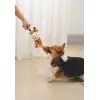 Zıa Köpek Oyuncağı