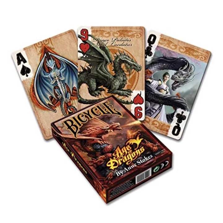 024041 Anne Stokes Age of Dragons, Small