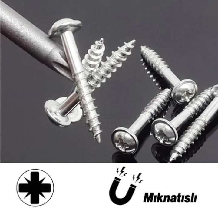 (10lu SET) Mıknatıslı Pozidriv Bits Uç PZ2 100 mm Kutulu Manyetik 1/4 Matkap Ucu 10 cm