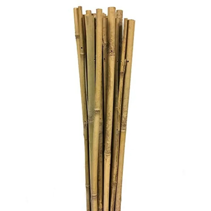 163702 Bambu Destek Çubuğu 10Lu - 6-8 Mm X 60 Cm