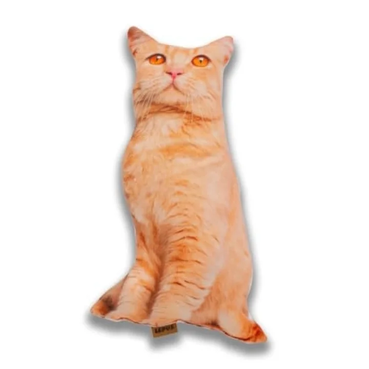 3 Boyutlu Kedi Yastığı No 8 40x25 Cm