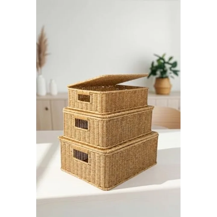 3lü Kapaklı Hasır Rattan Organizer Sepet - BB6065