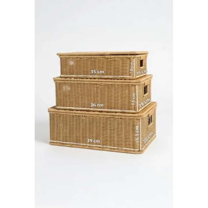 3lü Kapaklı Hasır Rattan Organizer Sepet - BB6065