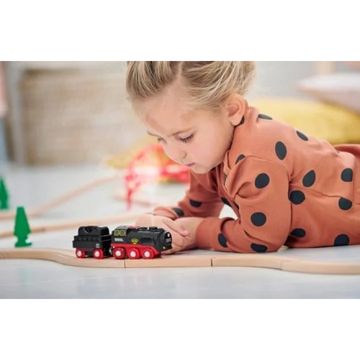 33884 Pilli Buharlı Tren