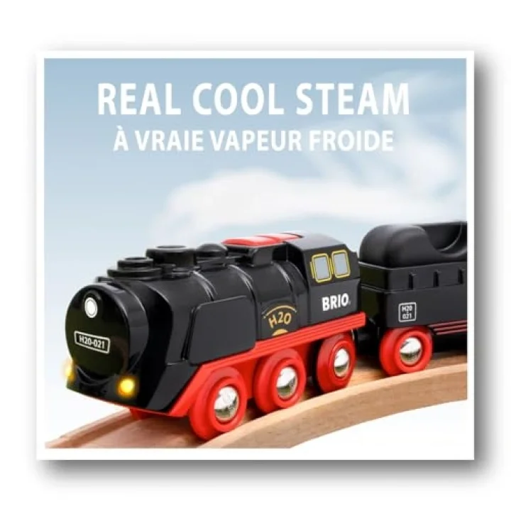 33884 Pilli Buharlı Tren