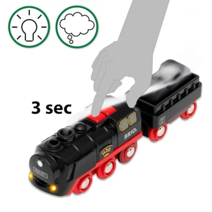 33884 Pilli Buharlı Tren