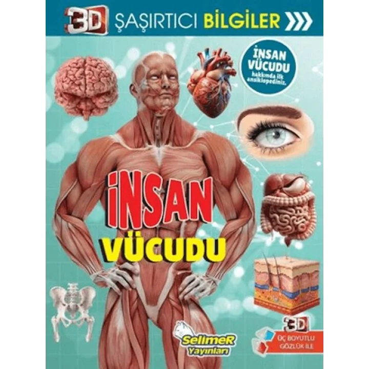3D Şaşırtıcı Bilgiler - İnsan Vücudu