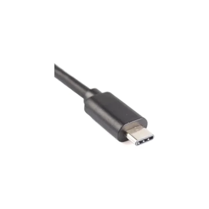 5060 Type C USB 3.1 to Ethernet 1000Mbps Gigabit Ağ Adaptör Kartı