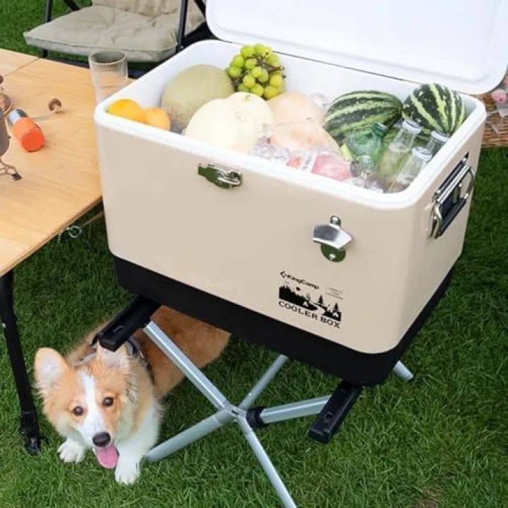 51 L Cooler Box Buz Kutusu