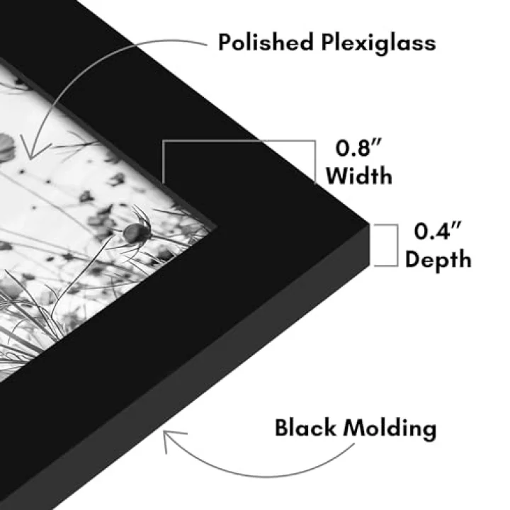 5x5 Picture Frame with Polished Plexiglass - Set of 12 - Signature Collection - Picture Frames with Engineered Wood - Square Frame for Tabletop and Wall Display - Black
