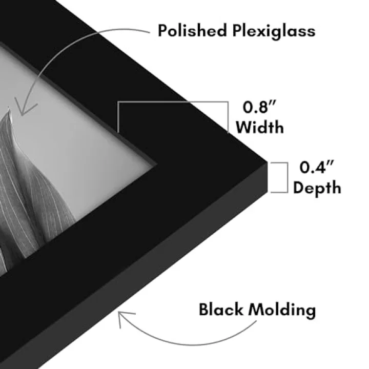 8x12 Picture Frame with Polished Plexiglass - Set of 12 - Signature Collection - Picture Frames with Engineered Wood - Photo Frame for Tabletop and Wall Display - Black