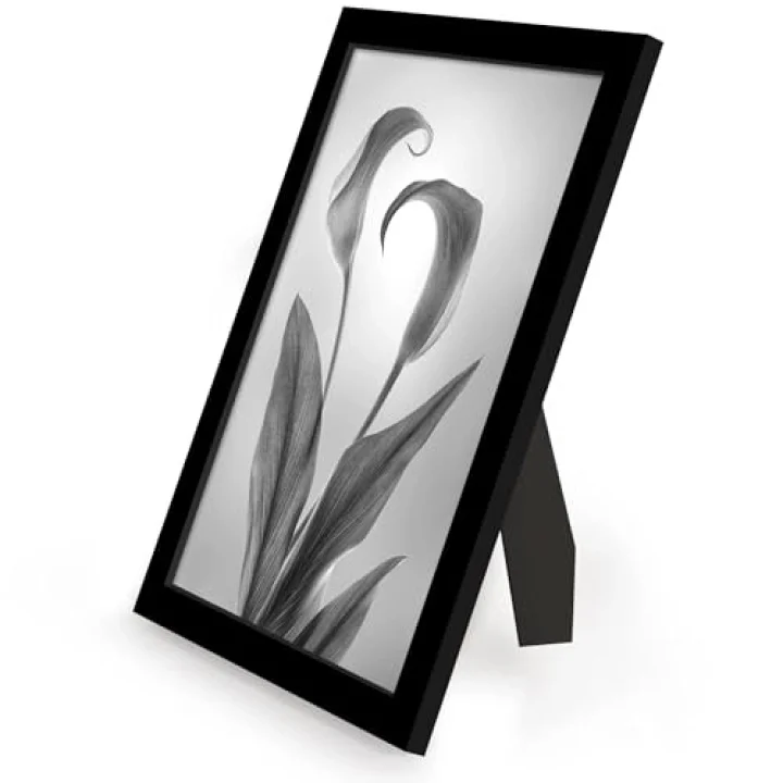 8x12 Picture Frame with Polished Plexiglass - Set of 12 - Signature Collection - Picture Frames with Engineered Wood - Photo Frame for Tabletop and Wall Display - Black
