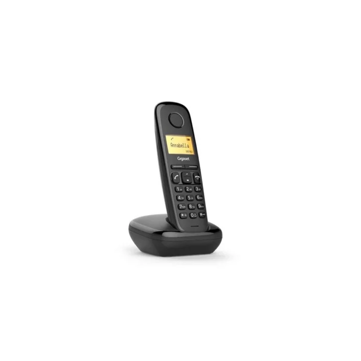 A170 Siyah Telsiz Telefon