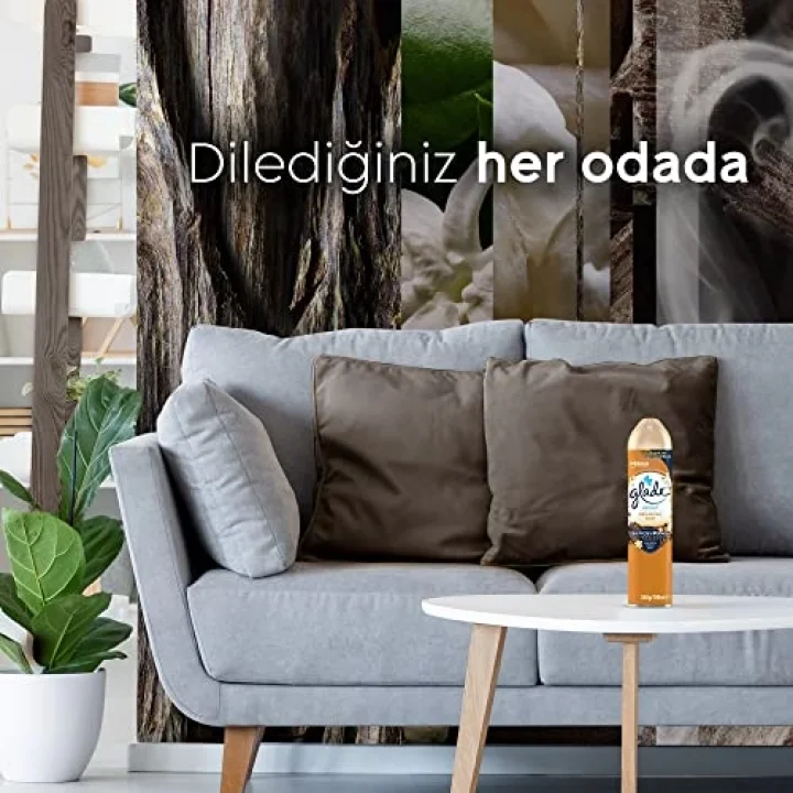 Aerosol Oryantal Oud Oda Kokusu 300 mL (1 x 300 mL)