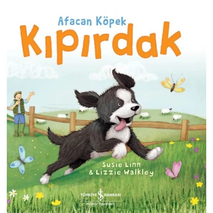 Afacan Köpek Kıpırdak