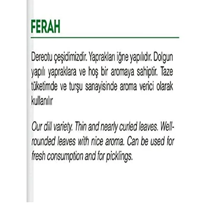 AGRODAL TARIM Ata Tohumu Yerli Dereotu Ferah 1000 Adet Tohum