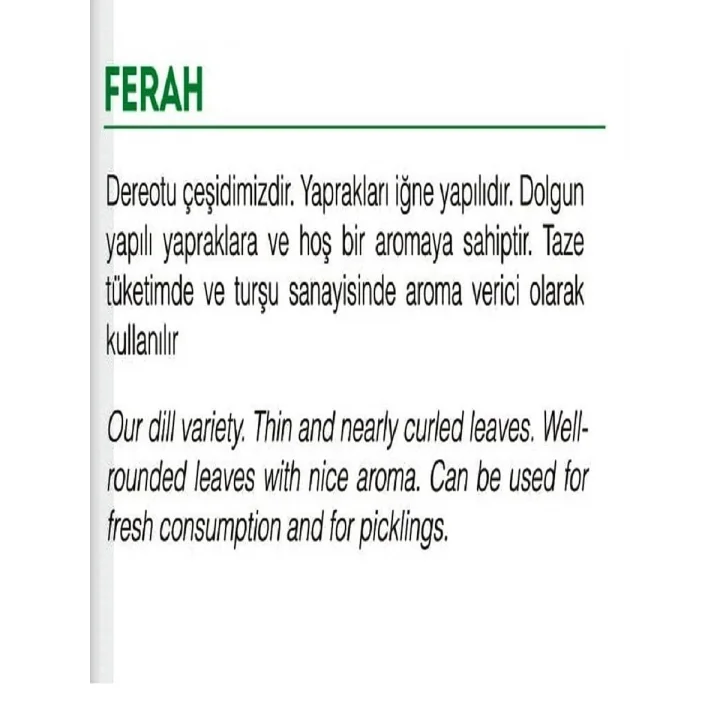 AGRODAL TARIM Ata Tohumu Yerli Dereotu Ferah 1000 Adet Tohum