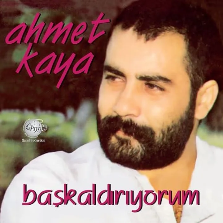 Ahmet Kaya Başkaldırıyorum Plak LP