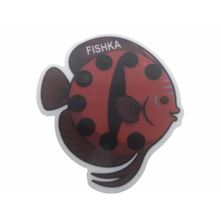 Akvaryum Yapışkan Discus Balığı Derece