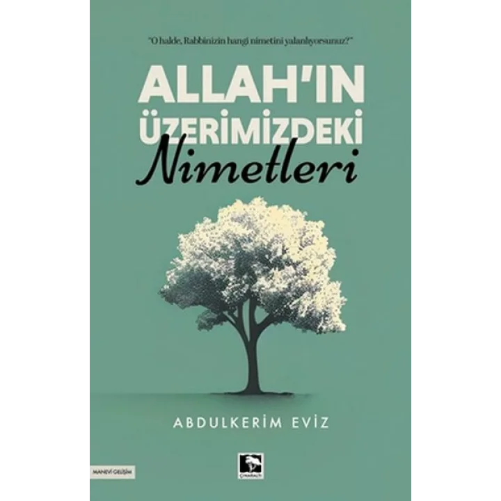 Allah’ın Üzerimizdeki Nimetleri