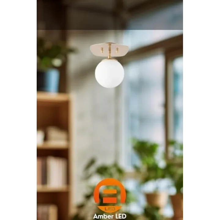 Amber LED Şık Camlı Tekli Sarkıt Avize Parlak Gold Mutfak ve Salon için E14, Altın-11671