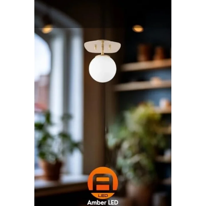 Amber LED Şık Camlı Tekli Sarkıt Avize Parlak Gold Mutfak ve Salon için E14, Altın-11671