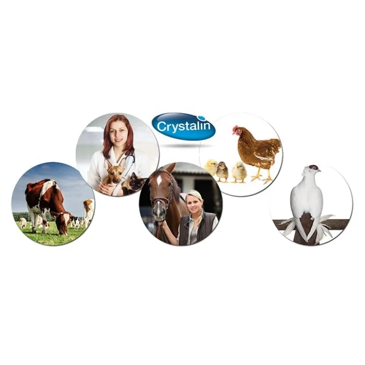 Animal Health Yara Bakım Solüysonu 250 ml