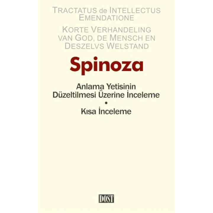 Anlama Yetisinin Düzeltilmesi Üzerine İnceleme