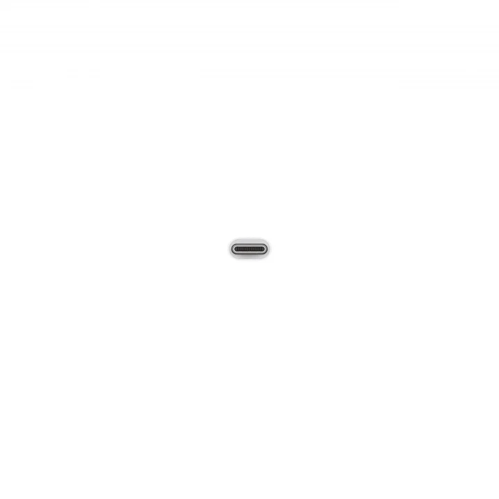 Apple USB-C - USB Adaptörü