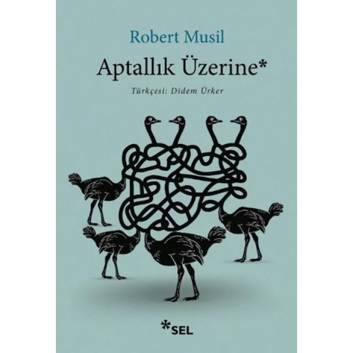 Aptallık Üzerine