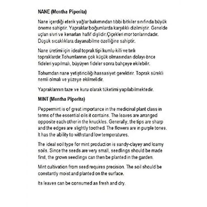 ATA TOHUMU YERLİ ANADOLU NANESİ 0.1 GRAM TOHUM