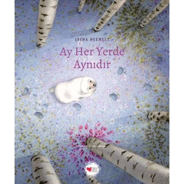 Ay Her Yerde Aynıdır