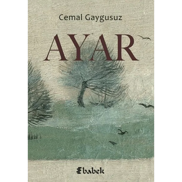 Ayar
