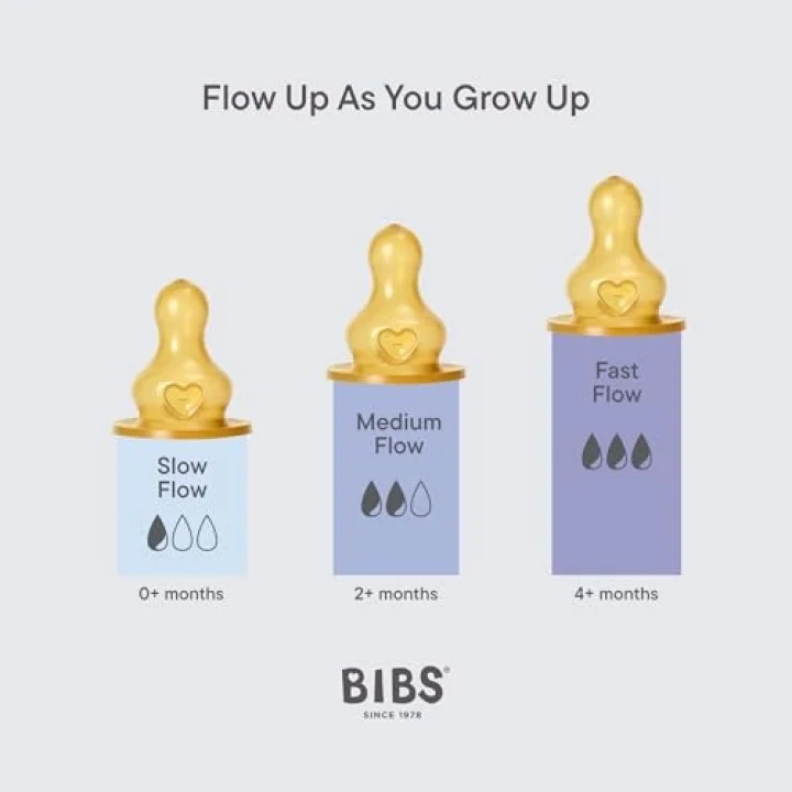 Baby Bottle Comp.Set Biberon Blush 240 ml
