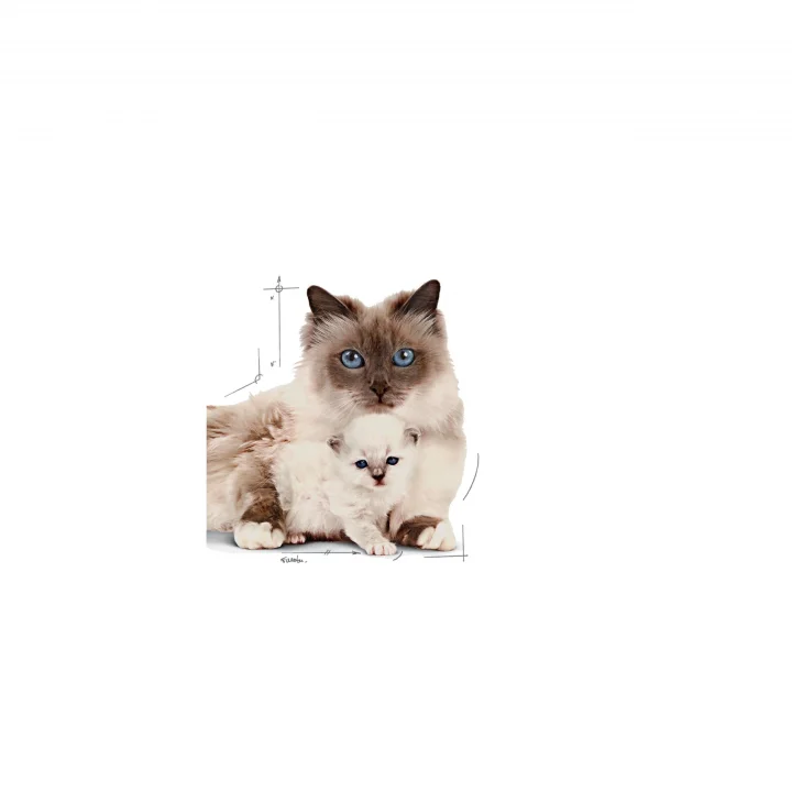 Baby Cat Instinctive Yavru Kedi Konservesi, 195 Gr