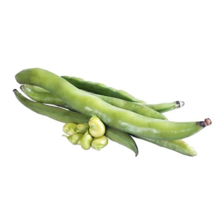 BAKLA (ÇOKLU TOHUM) - 50 Gram