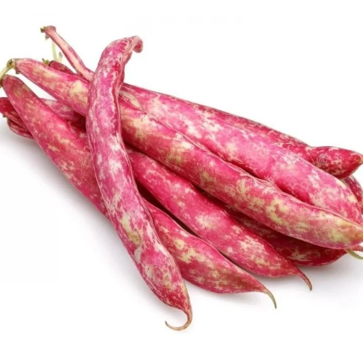 BARBUNYA (ÇOKLU TOHUM) - 25 Gram