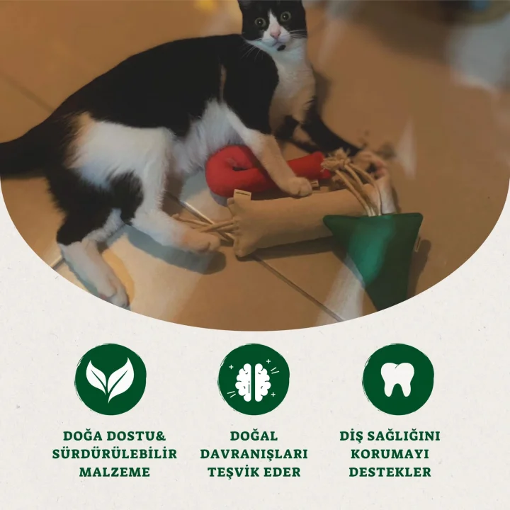 Baston Şeker Kedi Oyuncağı - Kedi Naneli, Pamuklu