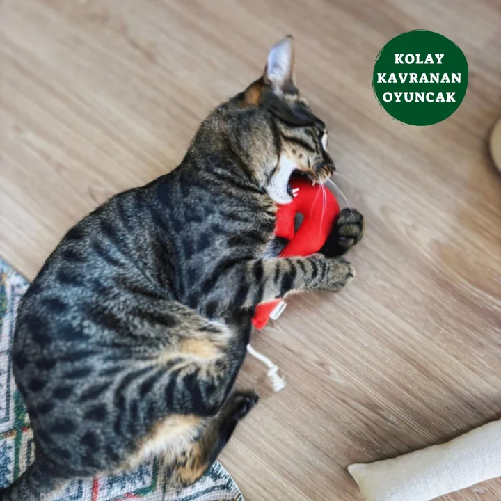 Baston Şeker Kedi Oyuncağı - Kedi Naneli, Pamuklu