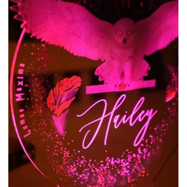 Baykuş Kişiye Özel 3D Led Lamba, Hediye Baykuş Gece Lambası, Çocuk Odası Dekoru