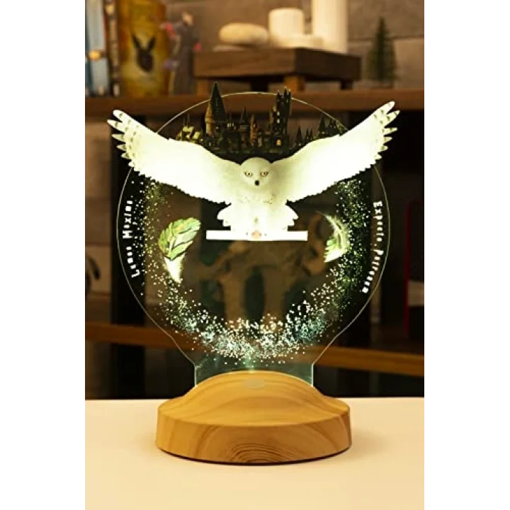 Baykuş Kişiye Özel 3D Led Lamba, Hediye Baykuş Gece Lambası, Çocuk Odası Dekoru