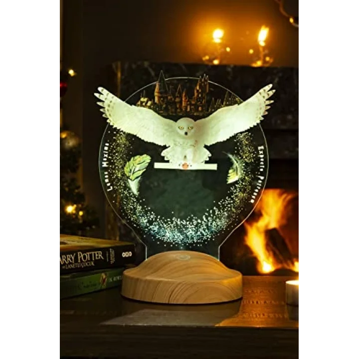 Baykuş Kişiye Özel 3D Led Lamba, Hediye Baykuş Gece Lambası, Çocuk Odası Dekoru