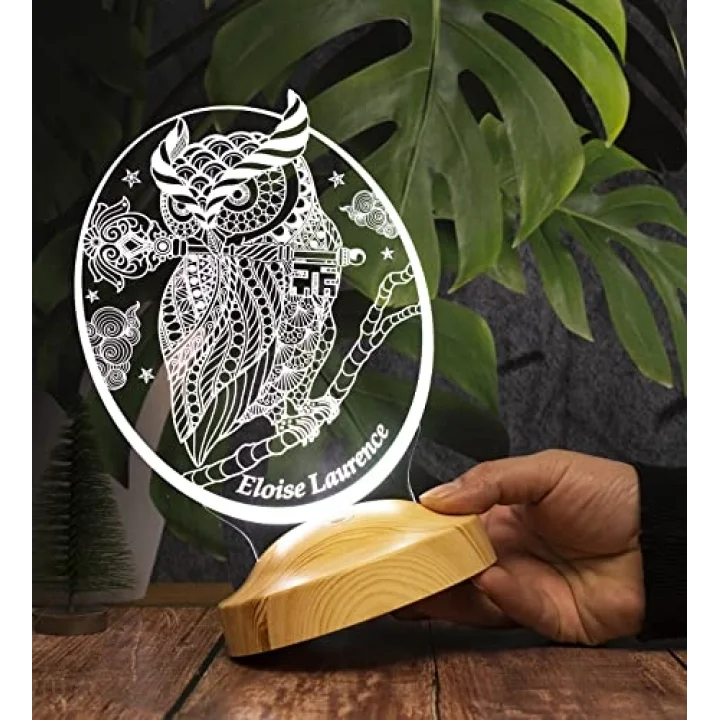 Baykuş Tasarımlı Kişiye Özel 3D Led Gece Lambası – Dekoratif Lamba, Baykuş Severlere Masa Lambası, Hayvan Temalı Işıklı Hediye